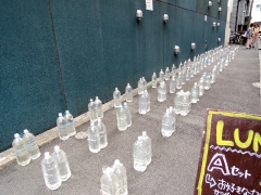 DSCN7556.jpg