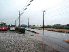 DSCN7700.jpg