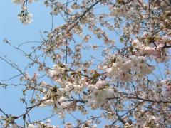 IMG_5829.jpg