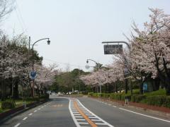 IMG_5850.jpg