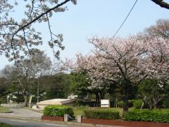 IMG_5851.jpg