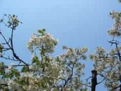 IMG_5859.jpg