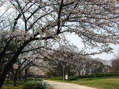 IMG_5865.jpg