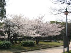IMG_5867.jpg