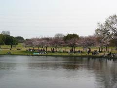 IMG_5877.jpg