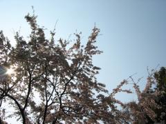 IMG_5885.jpg
