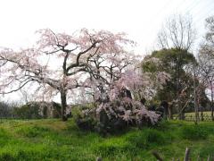 IMG_5889.jpg
