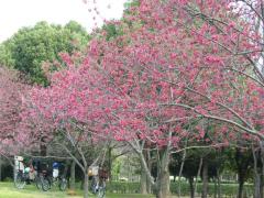 IMG_5894.jpg