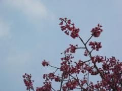 IMG_5904.jpg