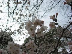 IMG_5927.jpg