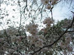 IMG_5940.jpg