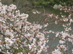 IMG_6006a.jpg