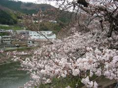 IMG_6031.jpg