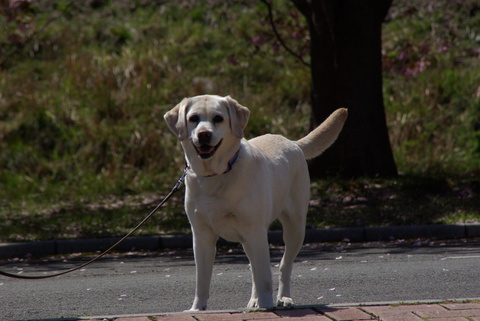 201305021.jpg