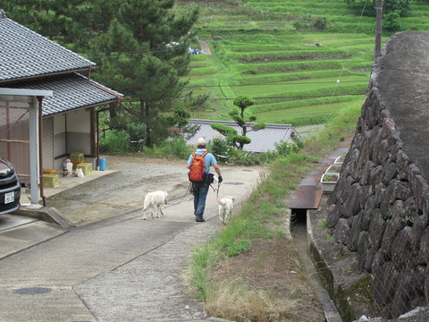 201306232.jpg