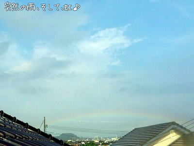 虹