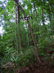 DSCN1941.jpg