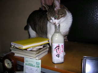 DSCN1981.jpg