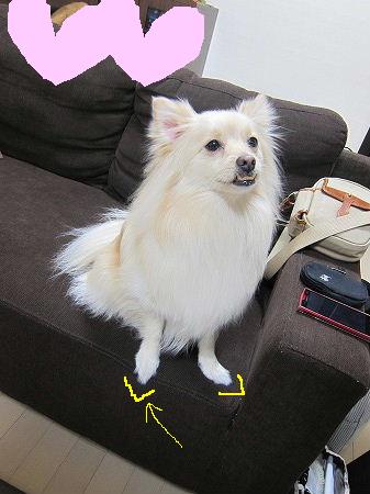 1IMG_4671.jpg