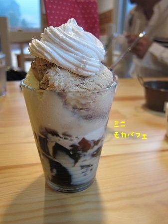 1IMG_6331.jpg