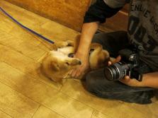IMG_4903_20120322105415.jpg