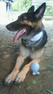 201109300906001.jpg