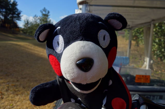 くまもん