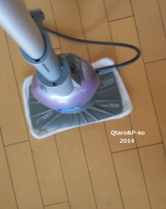 3956713.jpg