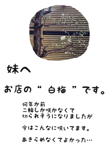 fc2blog_20130305175419f6a.jpg