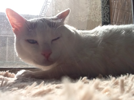 fc2blog_20130305175647fdc.jpg
