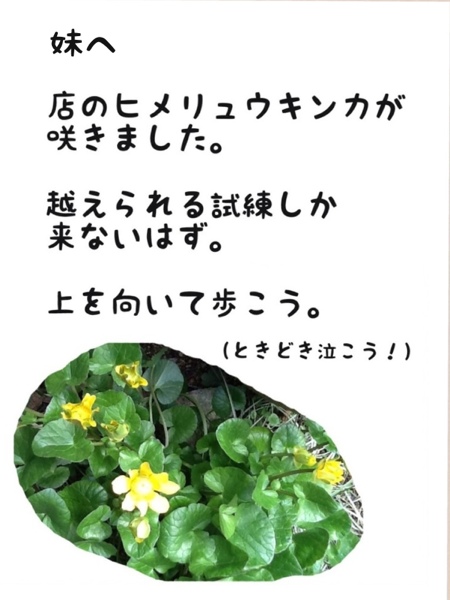 fc2blog_201303051808502e3.jpg