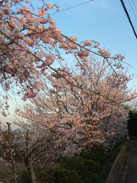 fc2blog_20130401183153f87.jpg