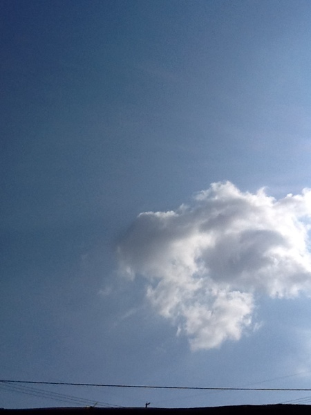 fc2blog_20130412175156b19.jpg
