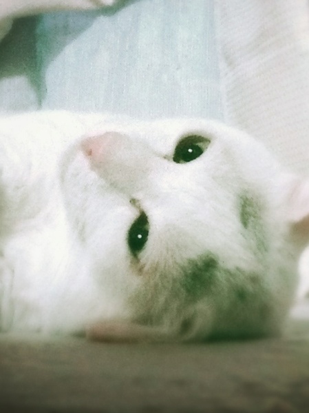 fc2blog_2013061018510943b.jpg