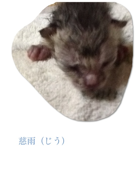 fc2blog_20130623115632606.jpg
