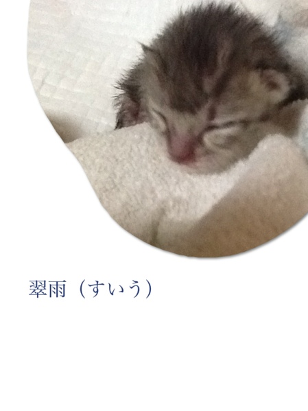 fc2blog_20130623115656f09.jpg