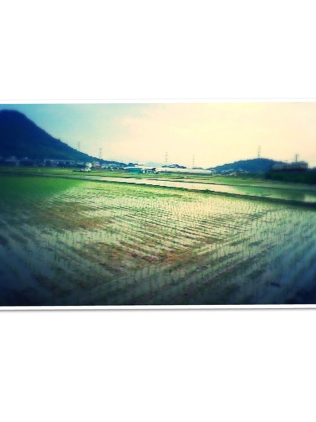 fc2blog_20130624172541d45.jpg
