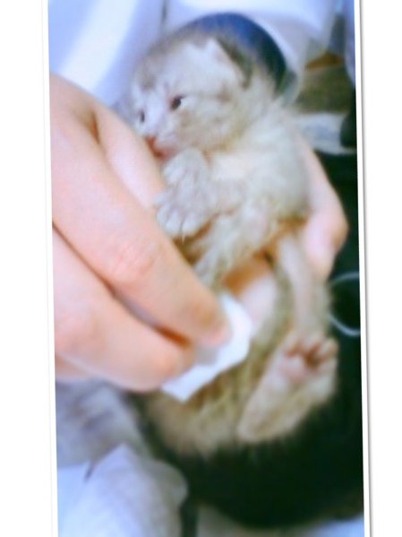 fc2blog_20130701203018e1e.jpg