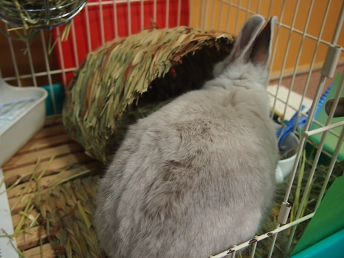 2013-12-01 002
