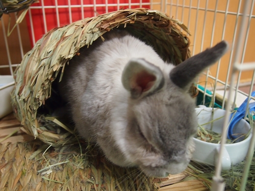 2013-12-01 004