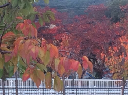 201312021133406fd.jpg