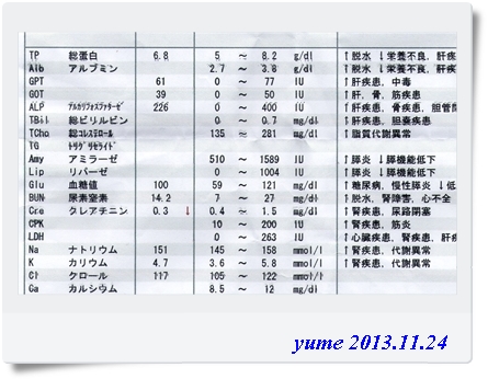 yume13-11-24-2.jpg