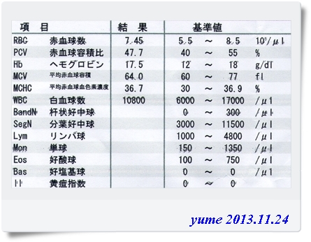 yume13-11-24.jpg