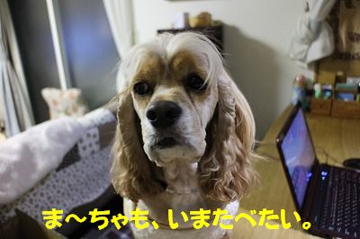 画像 279