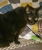 2013120916130106c.jpg