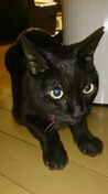 201312091613028fc.jpg