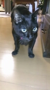 20131209161304d39.jpg