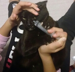 20131219125008fe2.jpg