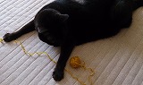 DSC_0949.jpg