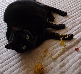 DSC_0961.jpg